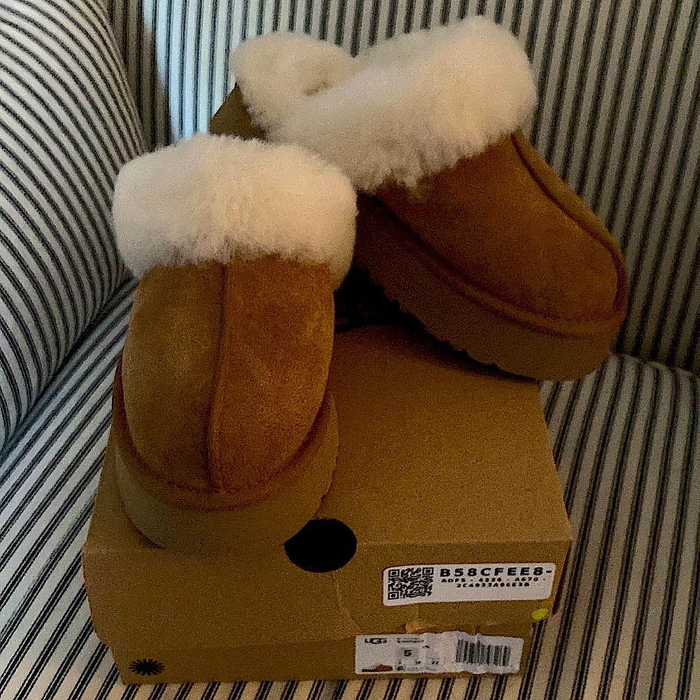 Uggs Disquette Brand new in box size 5